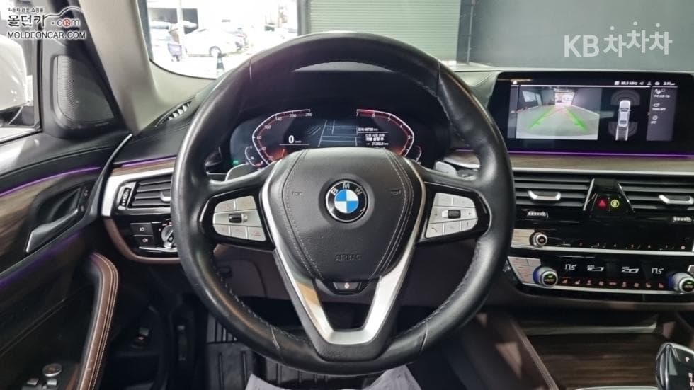 BMW - 5-Series | All New 530 xDrive Luxury Plus 11