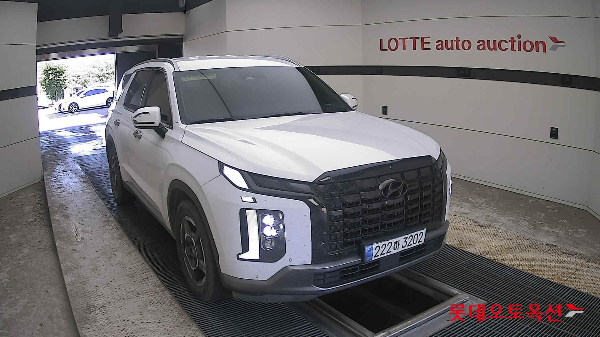 Hyundai - Palisade | (D)2.2 Exclusive 8 2WD AT 20
