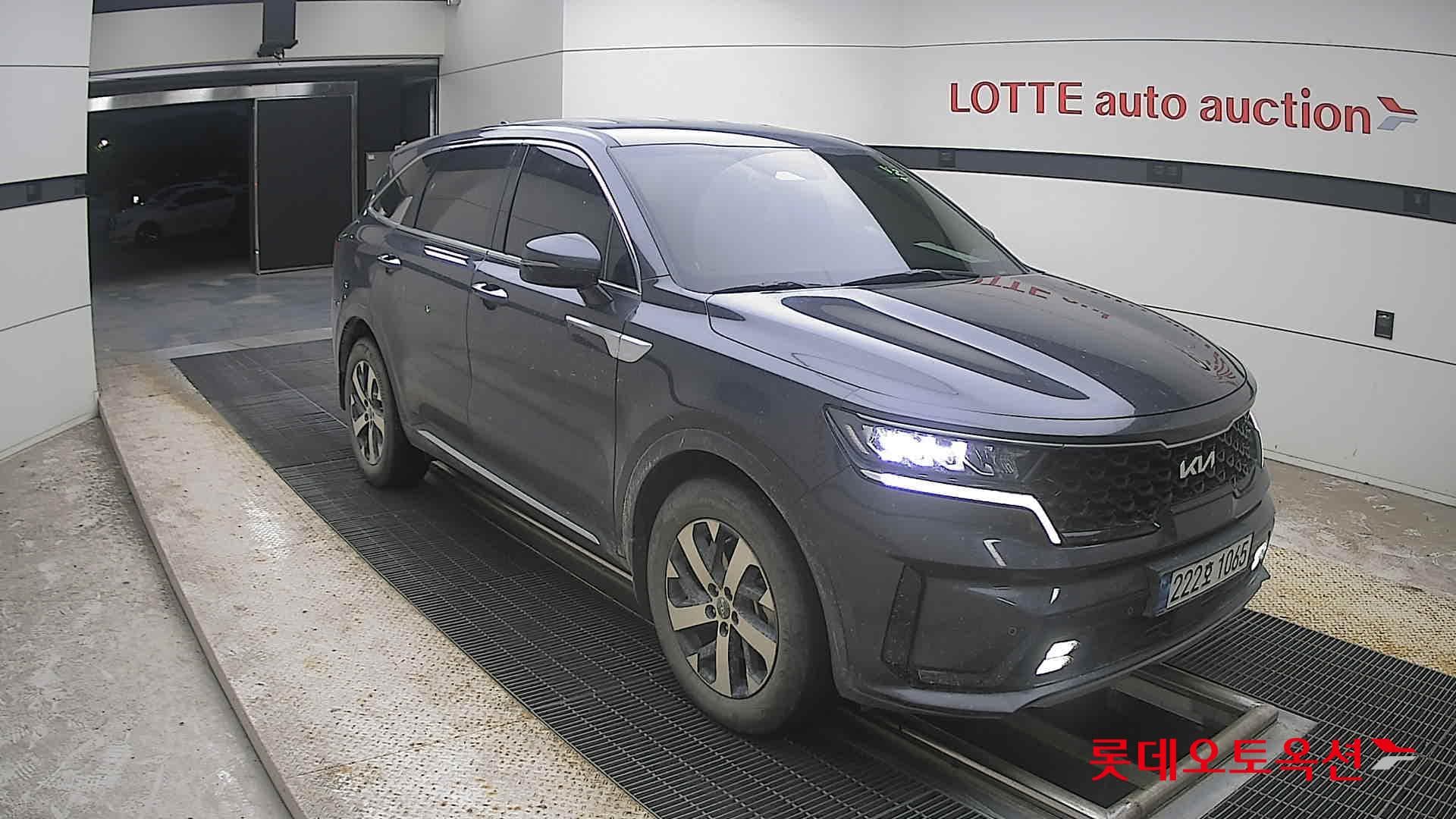 Kia - Sorento | MQ4 (D)2.2 Trendy 5 4WD AT 19