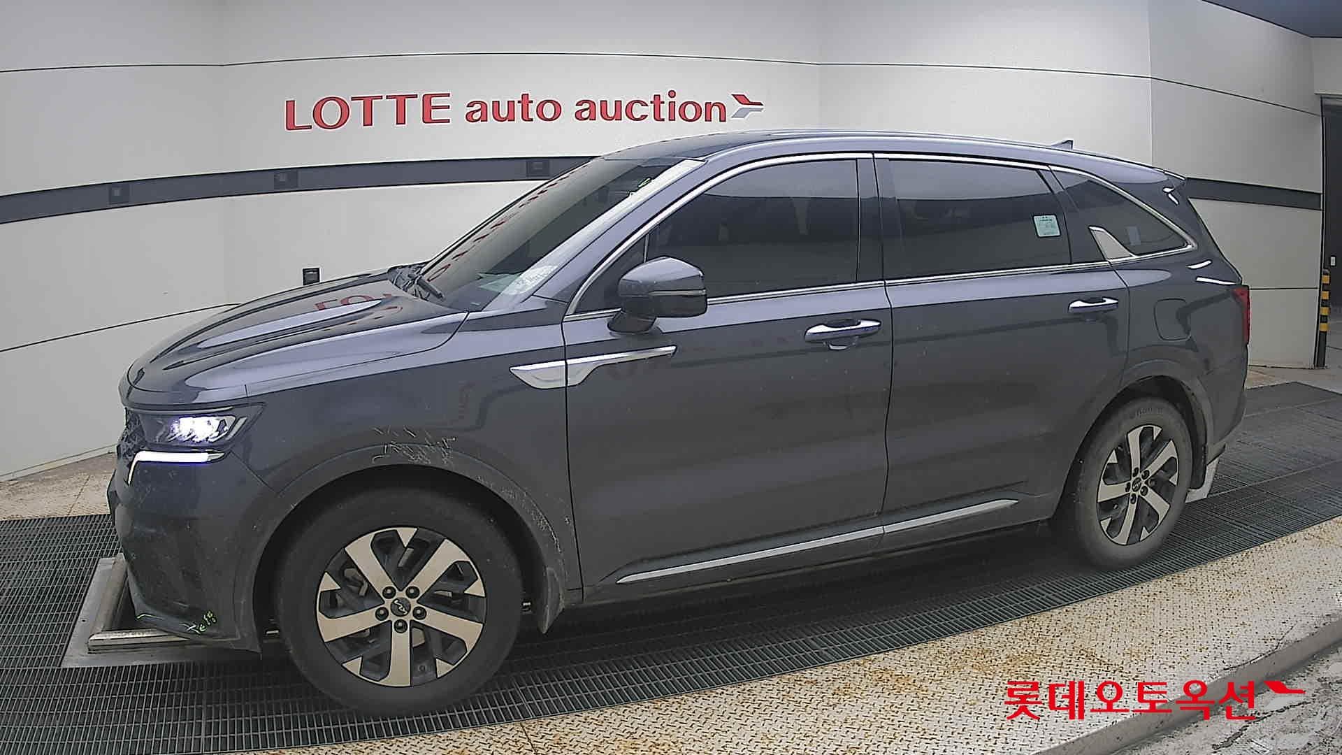 Kia - Sorento | MQ4 (D)2.2 Trendy 5 4WD AT 5