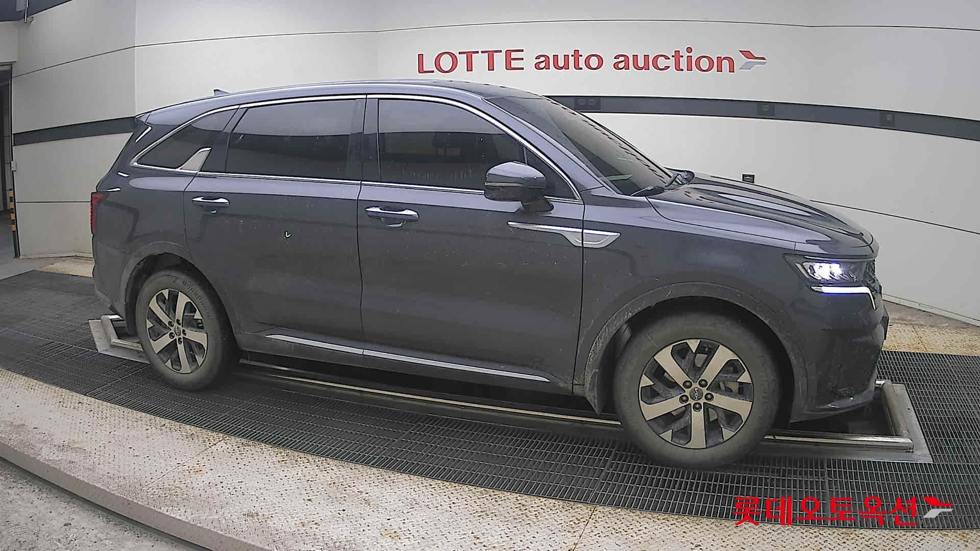 Kia - Sorento | MQ4 (D)2.2 Trendy 5 4WD AT 17