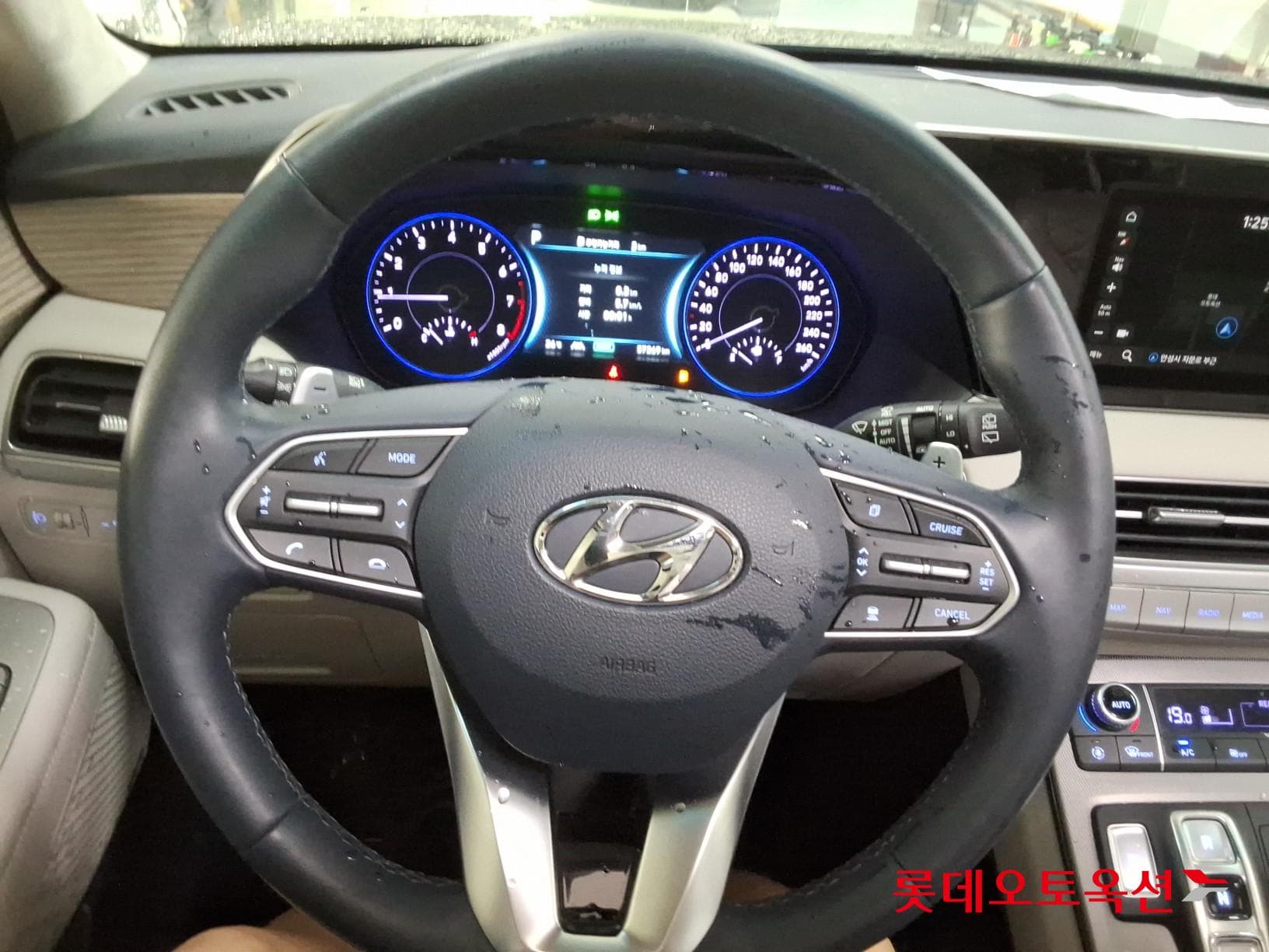 Hyundai - Palisade | (G) 3.8 Prestige 2WD 7 29