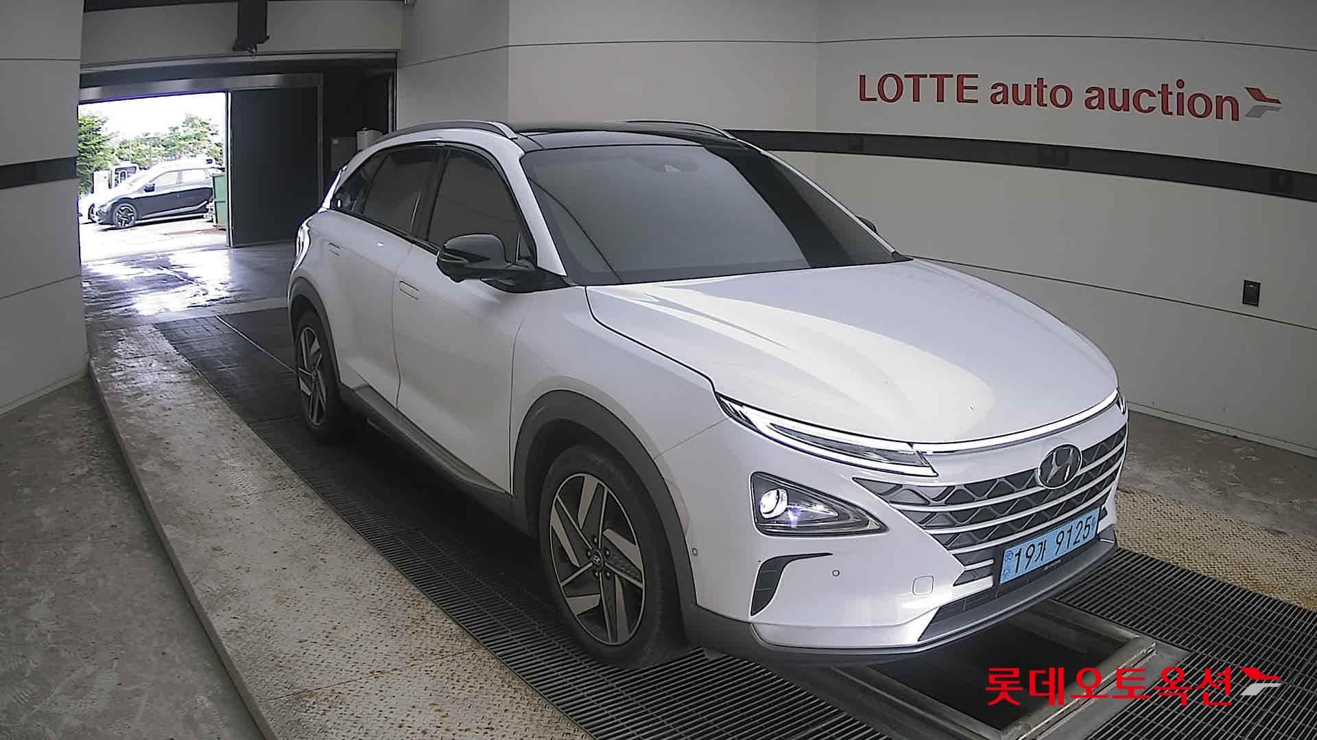 Hyundai - Nexo | (S) PREMIUM 19
