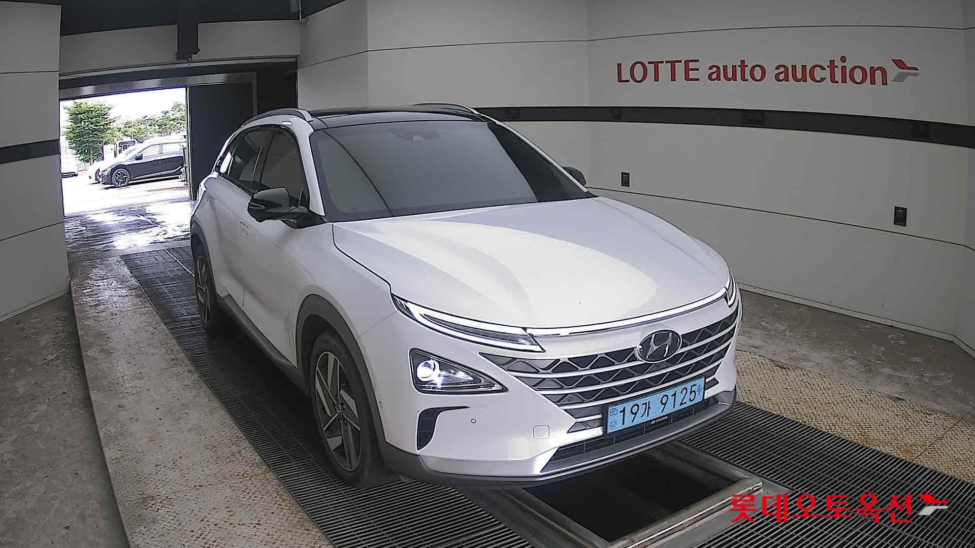 Hyundai - Nexo | (S) PREMIUM 20
