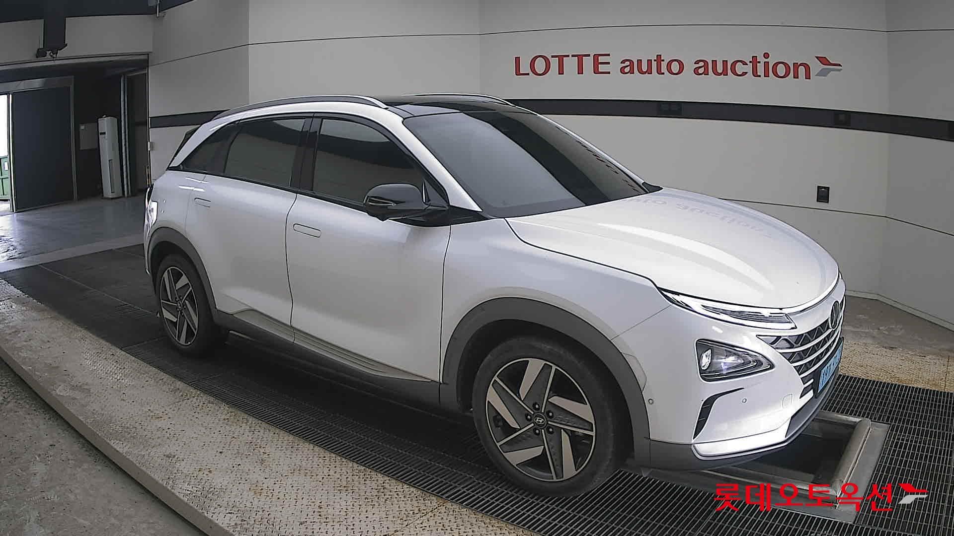 Hyundai - Nexo | (S) PREMIUM 18
