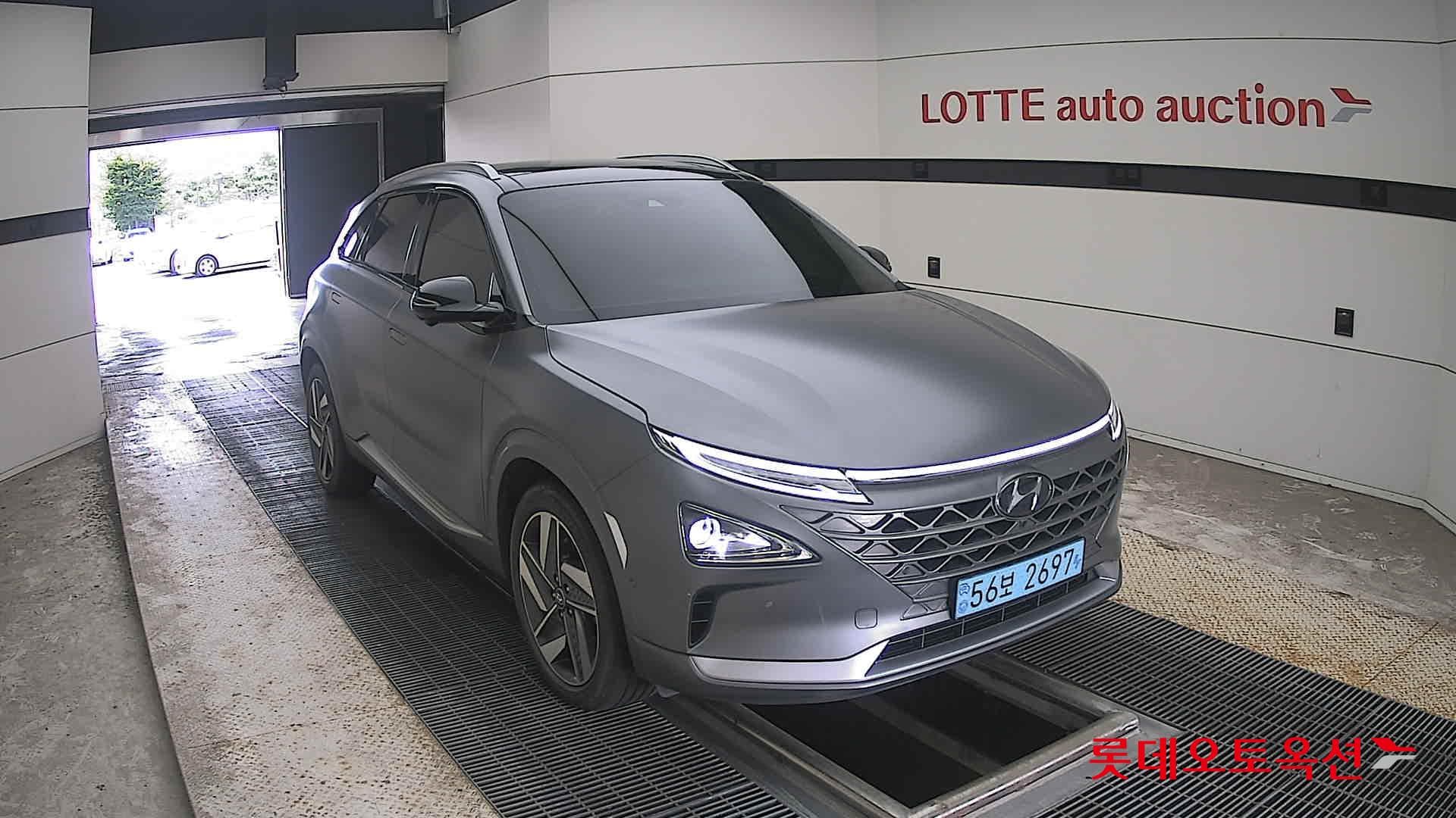 Hyundai - Нексо | (S) PREMIUM 20