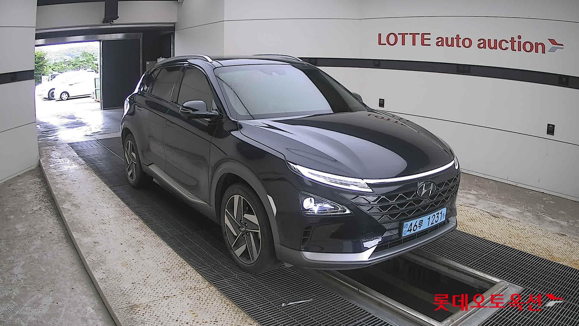 Hyundai - Nexo | (S) PREMIUM 19